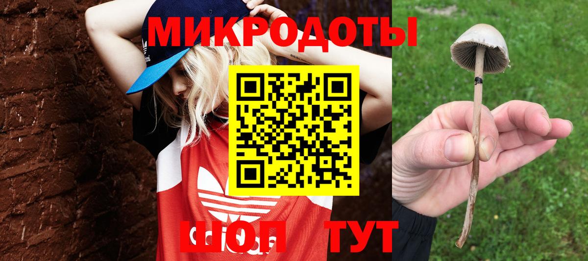 Галлюциногенные грибы MAGIC MUSHROOMS  Вход с VPN  Галлюциногенные грибы мухоморы  Коммунар 